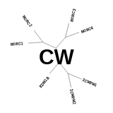 CW: methyl-lysine reader