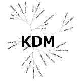 KDM: De-methylate lysines