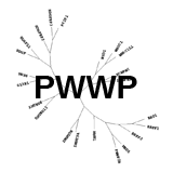 PWWP: Read methyl-lysines, bind DNA