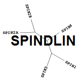 SPINDLIN: methyl-lysine/arginine reader