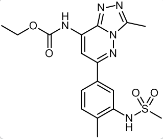 Structure of N-[6-(3-methanesulfonamido-4-methylphenyl)-3-methyl-[1,2,4]triazolo[4,3-b]pyridazin-8-yl]carbamate