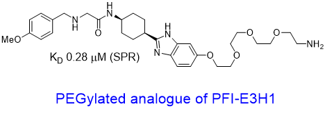 PEGylated analogue of PFI-E3H1