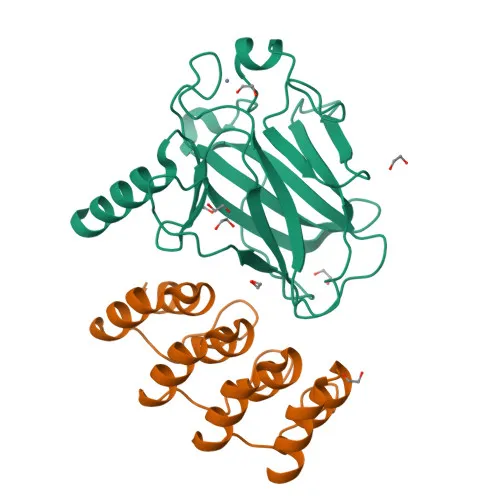 9spp_assembly-1.jpeg